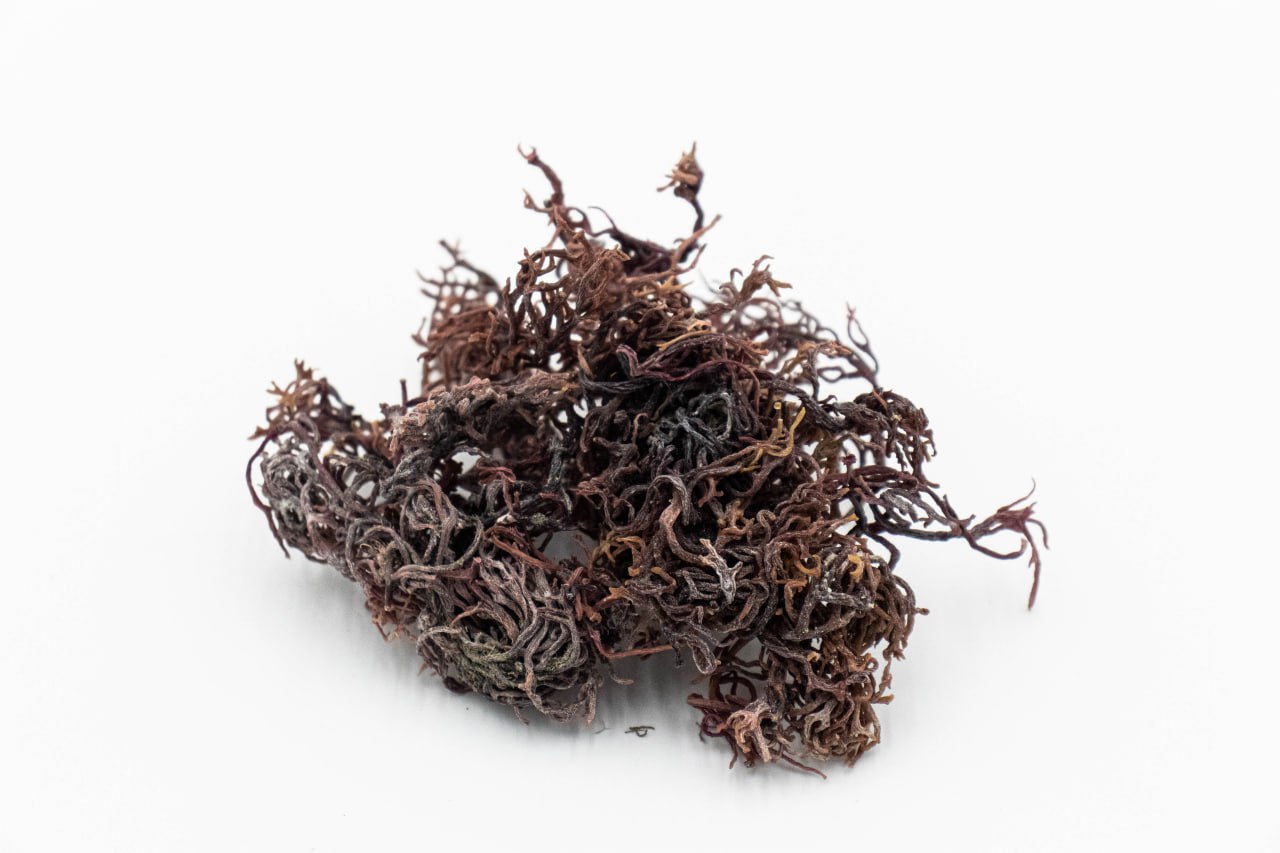 Coarse Sea Moss raw wildcrafted