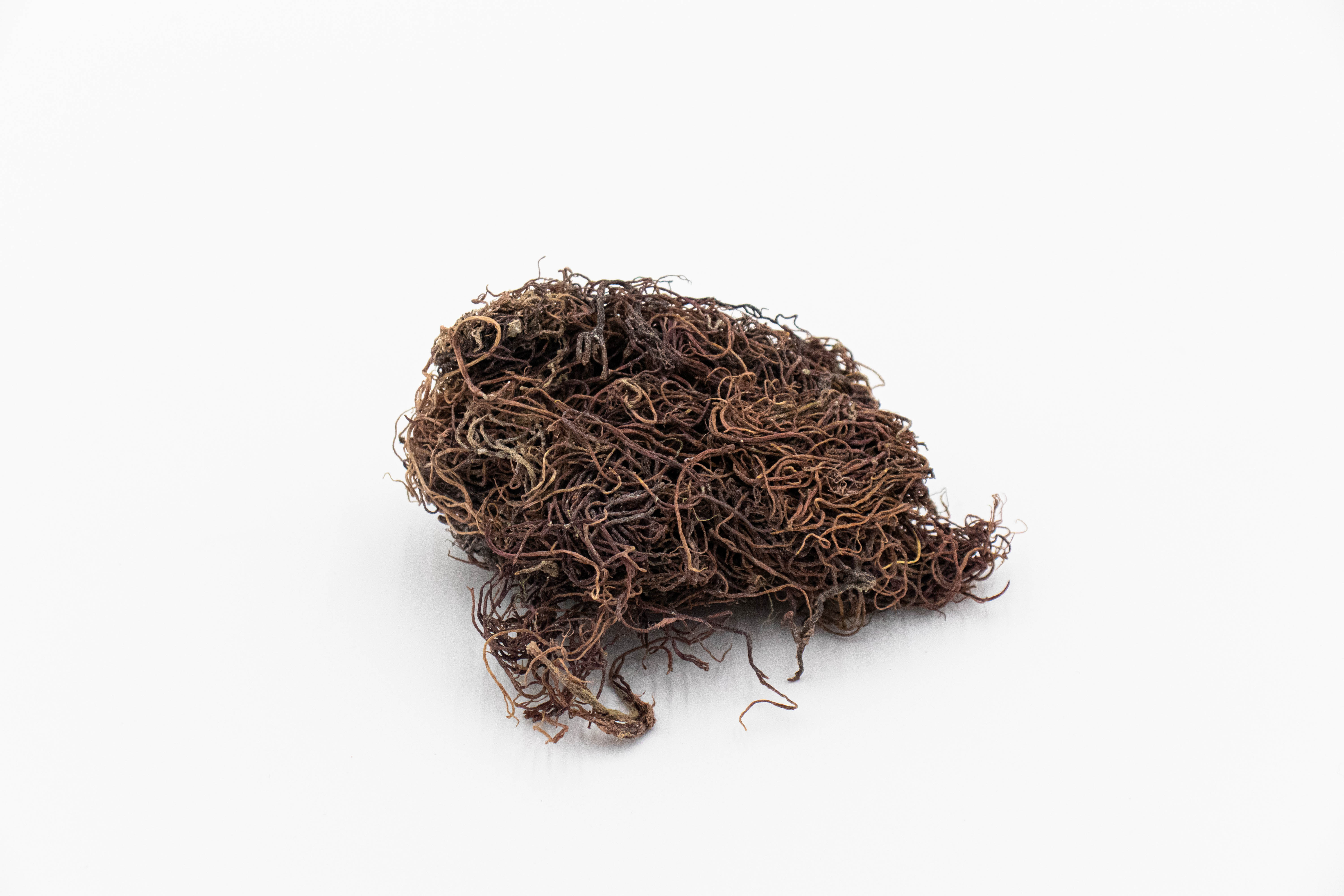 Macaroni Sea Moss raw wildcrafted